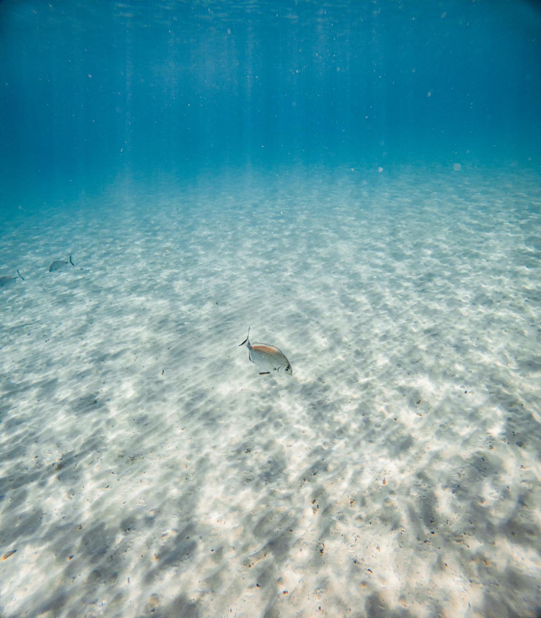 Cala D´Or Marina D'Or Iv, Casa 5ヴィラ エクステリア 写真